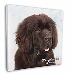 Newfoundland Dog-With Love Square Canvas 12"x12" Wall Art Picture Print