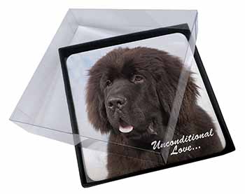 4x Newfoundland Dog-With Love Picture Table Coasters Set in Gift Box