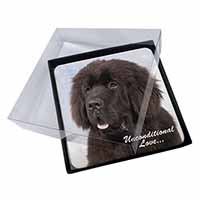 4x Newfoundland Dog-With Love Picture Table Coasters Set in Gift Box