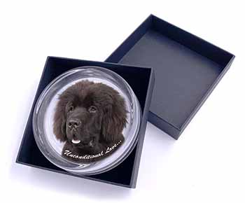 Newfoundland Dog-With Love Glass Paperweight in Gift Box