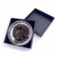 Newfoundland Dog-With Love Glass Paperweight in Gift Box