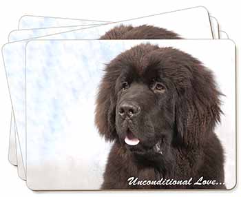 Newfoundland Dog-With Love Picture Placemats in Gift Box