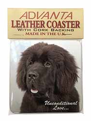 Newfoundland Dog-With Love Single Leather Photo Coaster