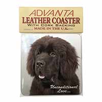 Newfoundland Dog-With Love Single Leather Photo Coaster