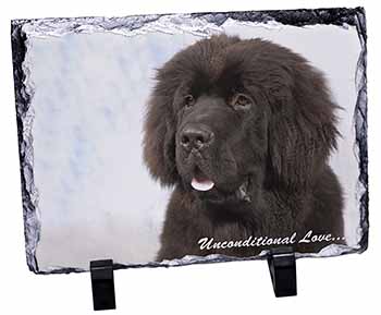 Newfoundland Dog-With Love, Stunning Photo Slate