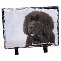 Newfoundland Dog-With Love, Stunning Photo Slate