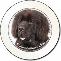 Newfoundland Dog-With Love Car or Van Permit Holder/Tax Disc Holder