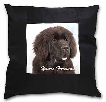 Newfoundland Dog 