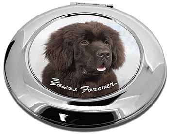 Newfoundland Dog 