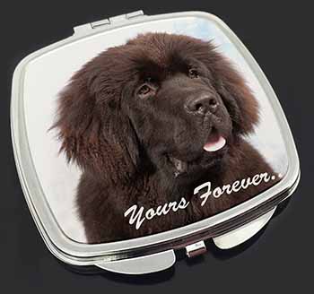 Newfoundland Dog 