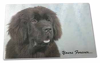 Large Glass Cutting Chopping Board Newfoundland Dog 