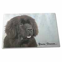 Large Glass Cutting Chopping Board Newfoundland Dog 