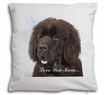 Newfoundland Dog 