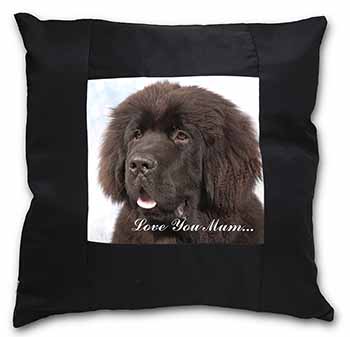 Newfoundland Dog 