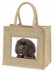 Newfoundland Dog 