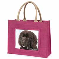 Newfoundland Dog 