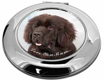 Newfoundland Dog 