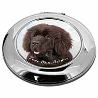 Newfoundland Dog 