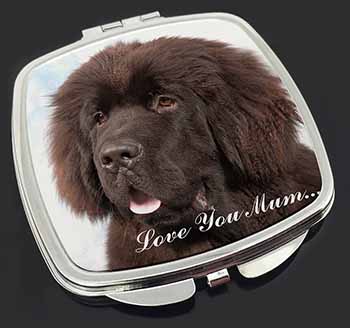 Newfoundland Dog 