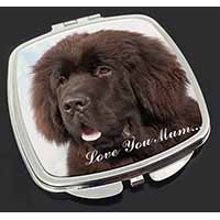 Newfoundland Dog 