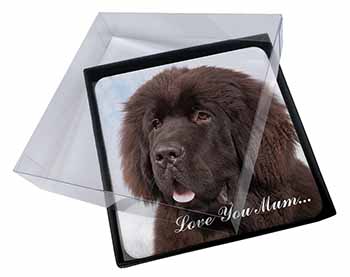 4x Newfoundland Dog 