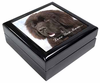 Newfoundland Dog 