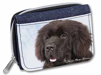 Newfoundland Dog 