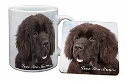 Newfoundland Dog 