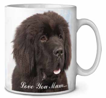 Newfoundland Dog 