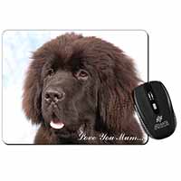 Newfoundland Dog 