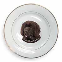 Newfoundland Dog 