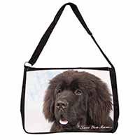 Newfoundland Dog 