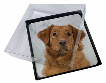 4x Nova Scotia Duck Tolling Retriever Dog Picture Table Coasters Set in Gift Box