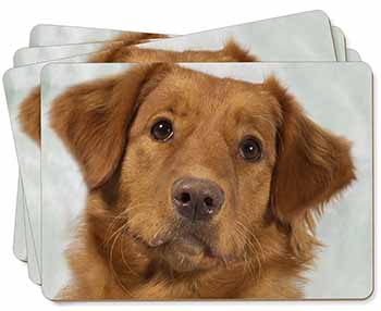 Nova Scotia Duck Tolling Retriever Dog Picture Placemats in Gift Box