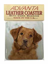 Nova Scotia Duck Tolling Retriever Dog Single Leather Photo Coaster