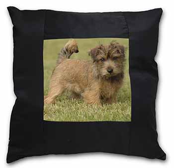 Norfolk Terrier Dog Black Satin Feel Scatter Cushion
