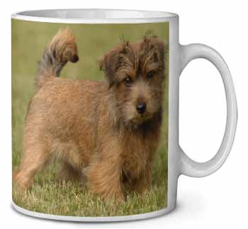 Norfolk Terrier Dog Ceramic 10oz Coffee Mug/Tea Cup
