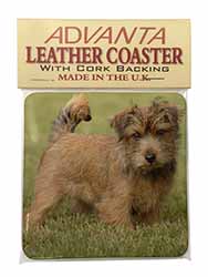 Norfolk Terrier Dog Single Leather Photo Coaster