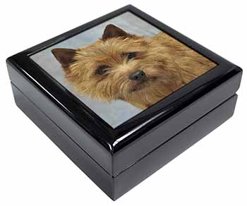 Norfolk-Norwich Terrier Dog Keepsake/Jewellery Box