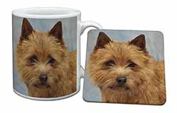 Norfolk-Norwich Terrier Dog Mug and Coaster Set