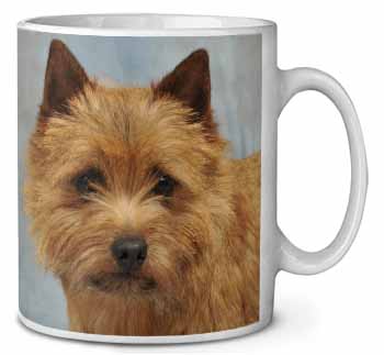 Norfolk-Norwich Terrier Dog Ceramic 10oz Coffee Mug/Tea Cup