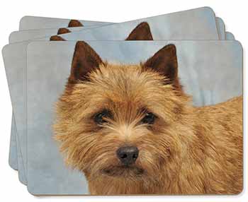 Norfolk-Norwich Terrier Dog Picture Placemats in Gift Box