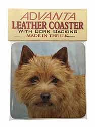 Norfolk-Norwich Terrier Dog Single Leather Photo Coaster
