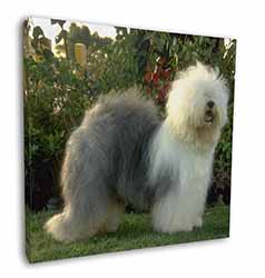 Old English Sheepdog Square Canvas 12"x12" Wall Art Picture Print