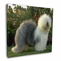 Old English Sheepdog Square Canvas 12"x12" Wall Art Picture Print