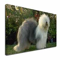 Old English Sheepdog Canvas X-Large 30"x20" Wall Art Print