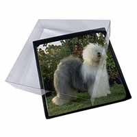 4x Old English Sheepdog Picture Table Coasters Set in Gift Box
