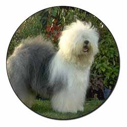 Old English Sheepdog Fridge Magnet Printed Full Colour