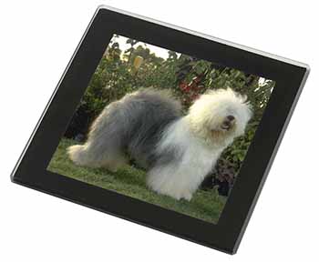 Old English Sheepdog Black Rim High Quality Glass Coaster