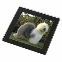 Old English Sheepdog Black Rim High Quality Glass Coaster